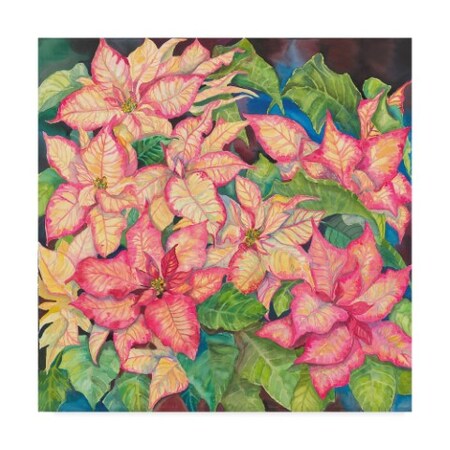 Trademark Fine Art Joanne Porter 'Pink Variegated Poinsettia' Canvas Art, 35x35 ALI30468-C3535GG